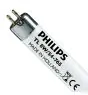 Philips T5 Short 8W - 765 Tageslichtweiß | 29cm